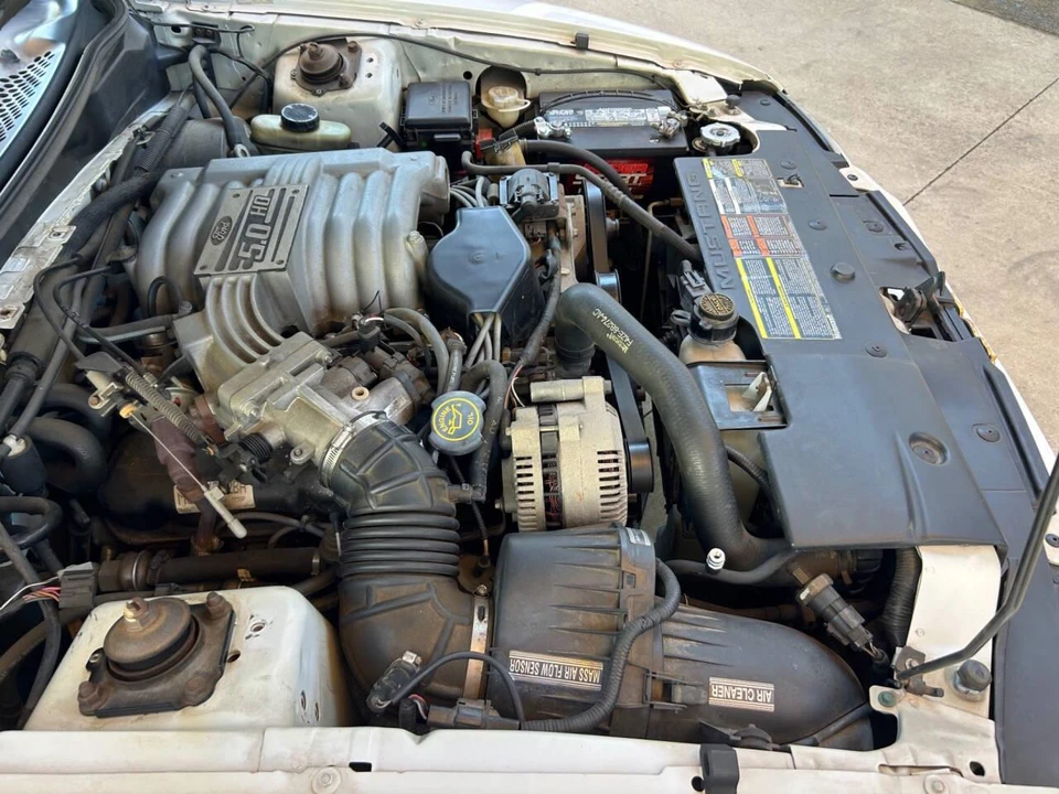 1995 Ford SN95 Mustang - Image 24 of 31