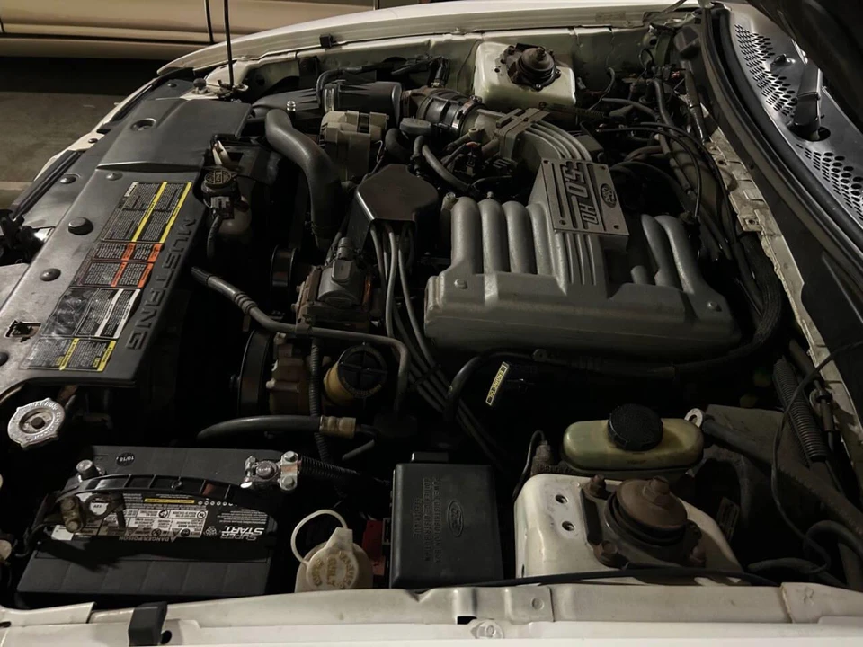 1995 Ford SN95 Mustang - Image 26 of 31