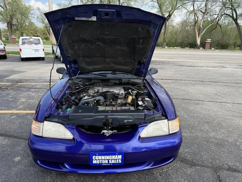 1995 Ford SN95 Mustang - Image 5 of 19