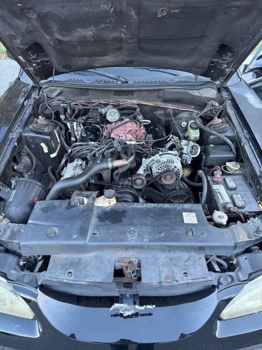 1995 Ford SN95 Mustang - Image 7 of 8