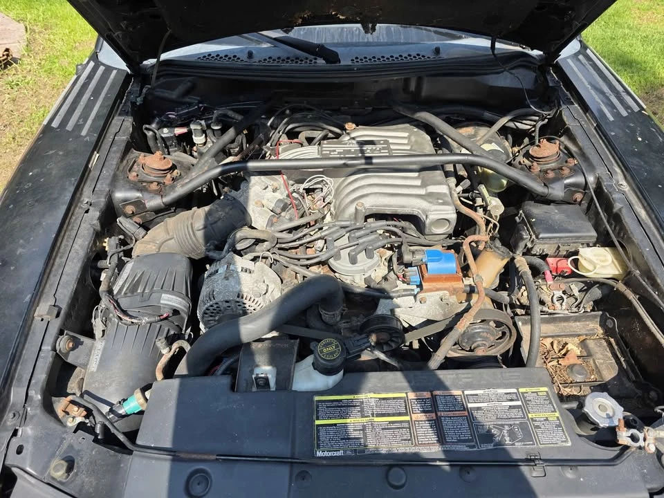 1995 Ford SN95 Mustang Cobra R - Image 5 of 6