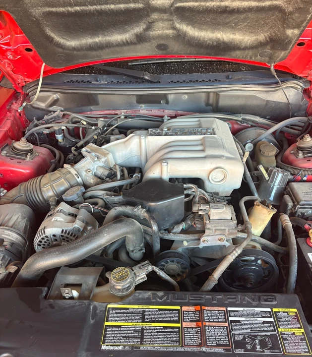 1995 Ford SN95 Mustang Cobra - Image 9 of 18