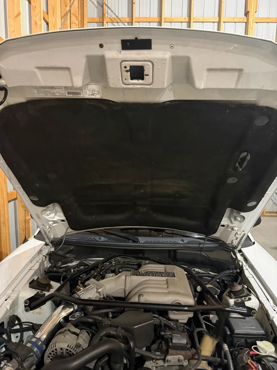 1995 Ford SN95 Mustang Cobra - Image 21 of 21