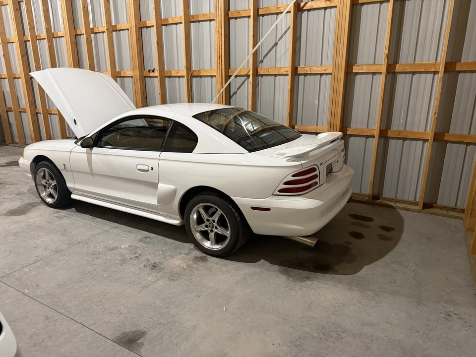 1995 Ford SN95 Mustang Cobra - Image 5 of 21