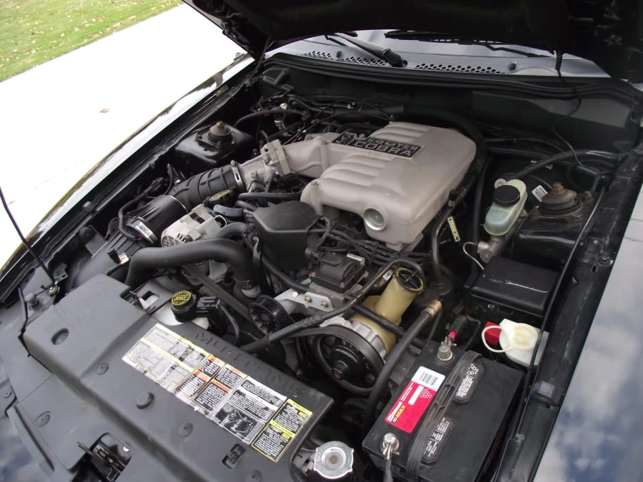 1995 Ford SN95 Mustang Cobra - Image 6 of 11