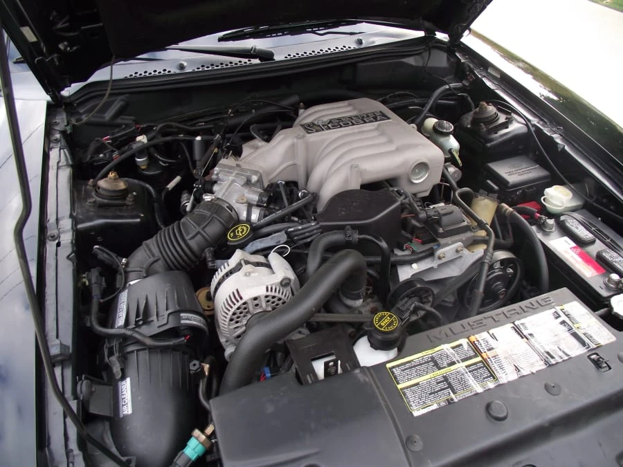 1995 Ford SN95 Mustang Cobra - Image 7 of 11