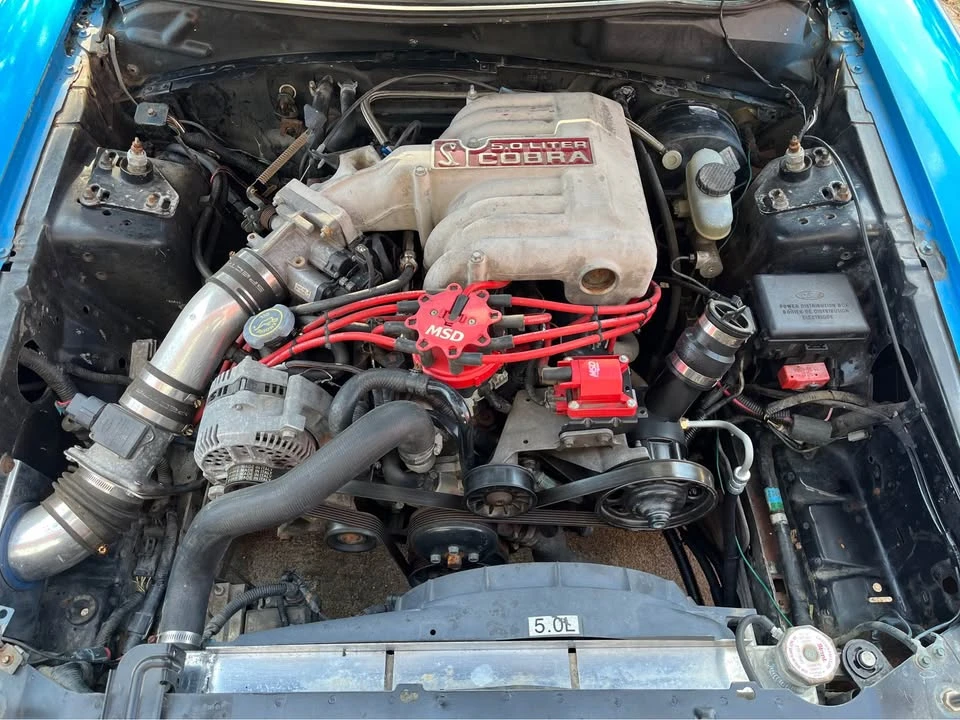 1995 Ford SN95 Mustang Cobra - Image 10 of 14