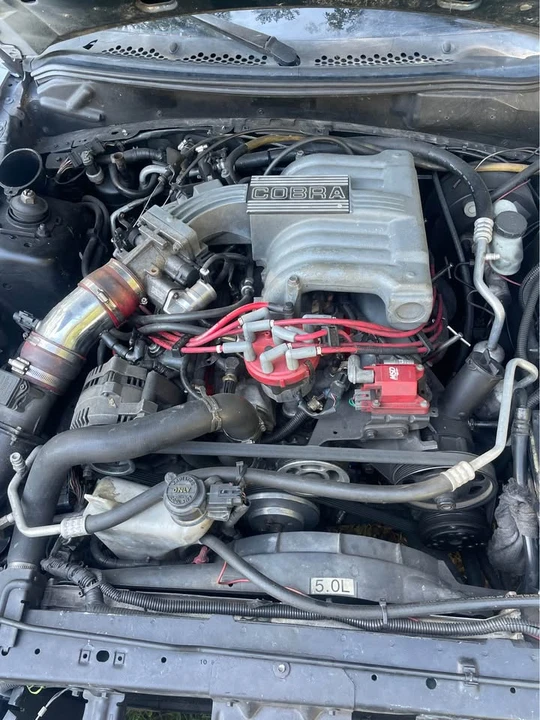 1995 Ford SN95 Mustang Cobra - Image 6 of 9