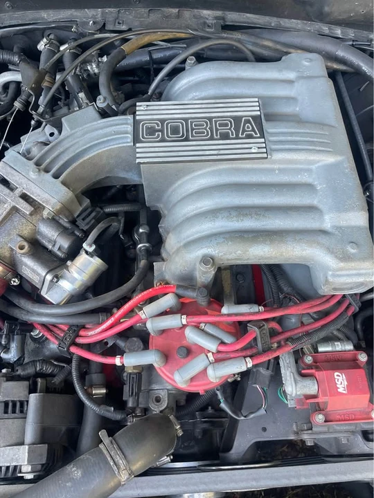 1995 Ford SN95 Mustang Cobra - Image 5 of 9