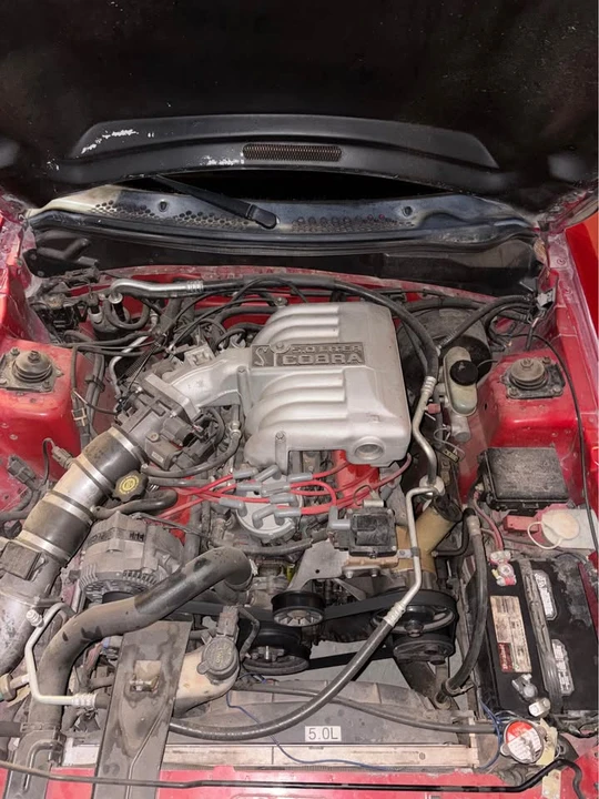 1995 Ford SN95 Mustang Cobra - Image 4 of 4