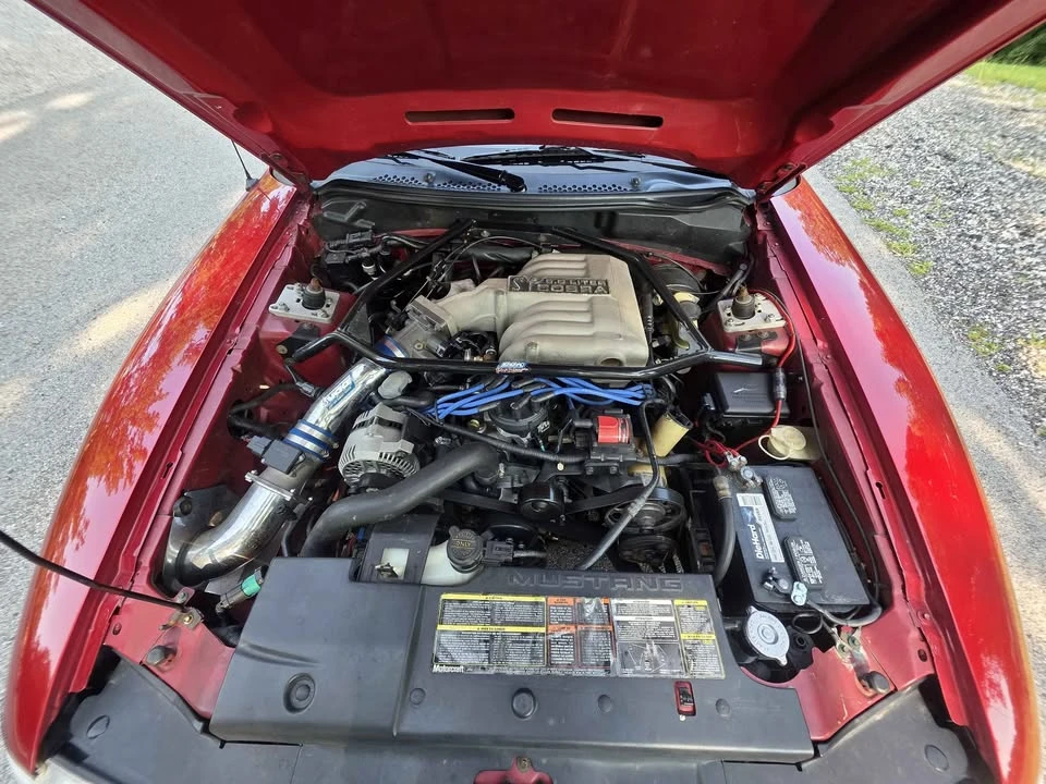 1995 Ford SN95 Mustang Cobra - Image 11 of 11