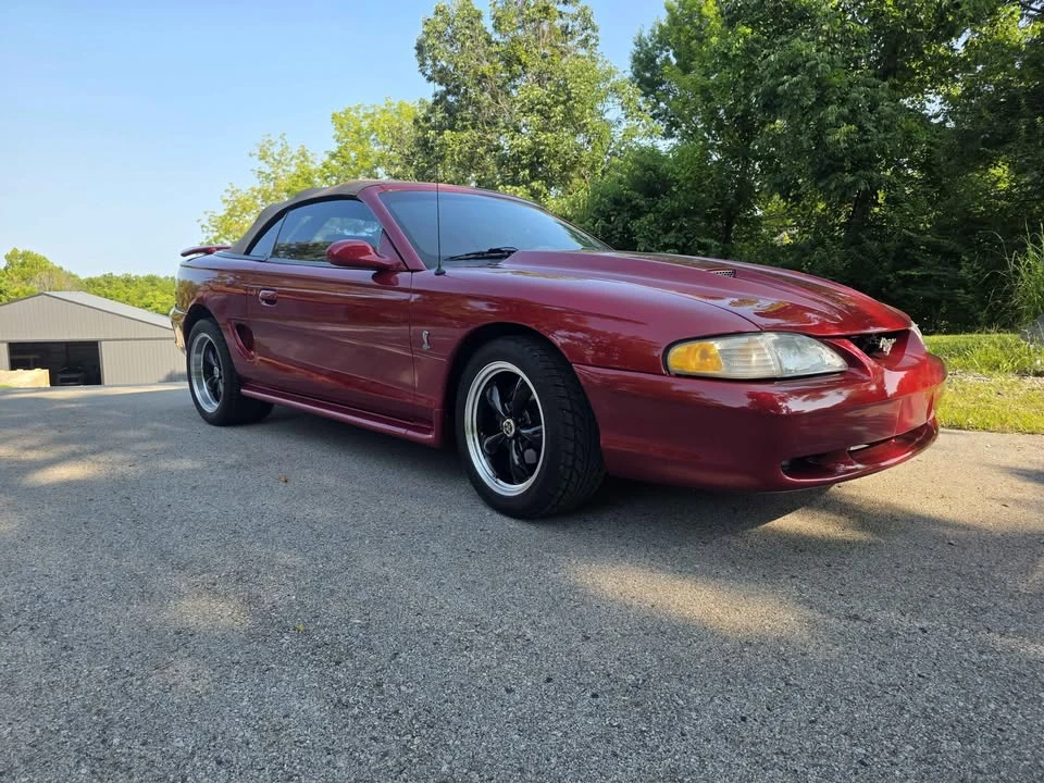 1995 Ford SN95 Mustang Cobra - Image 2 of 11