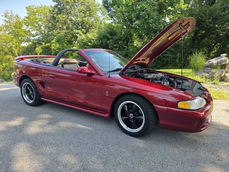 1995 Ford SN95 Mustang Cobra - Image 6 of 11