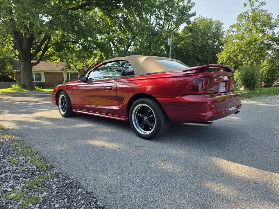 1995 Ford SN95 Mustang Cobra - Image 4 of 11