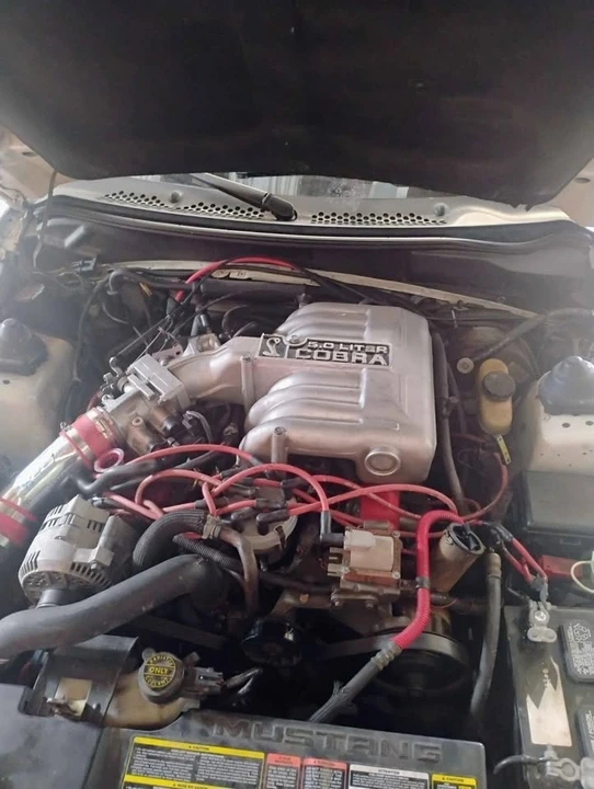 1995 Ford SN95 Mustang Cobra - Image 10 of 14