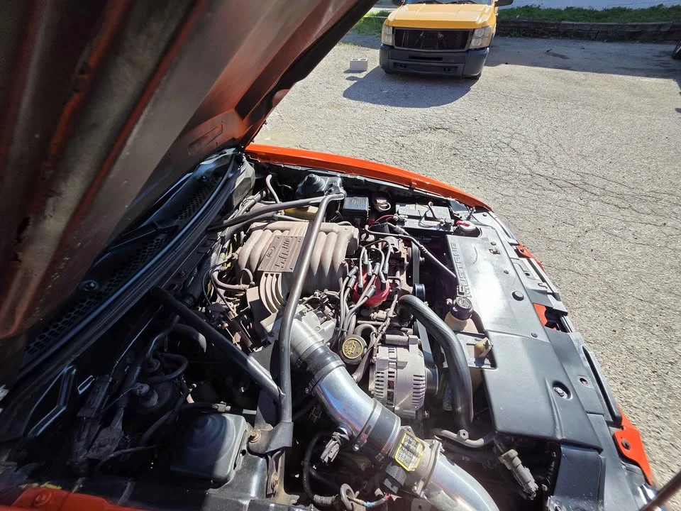 1995 Ford SN95 Mustang Cobra - Image 12 of 13