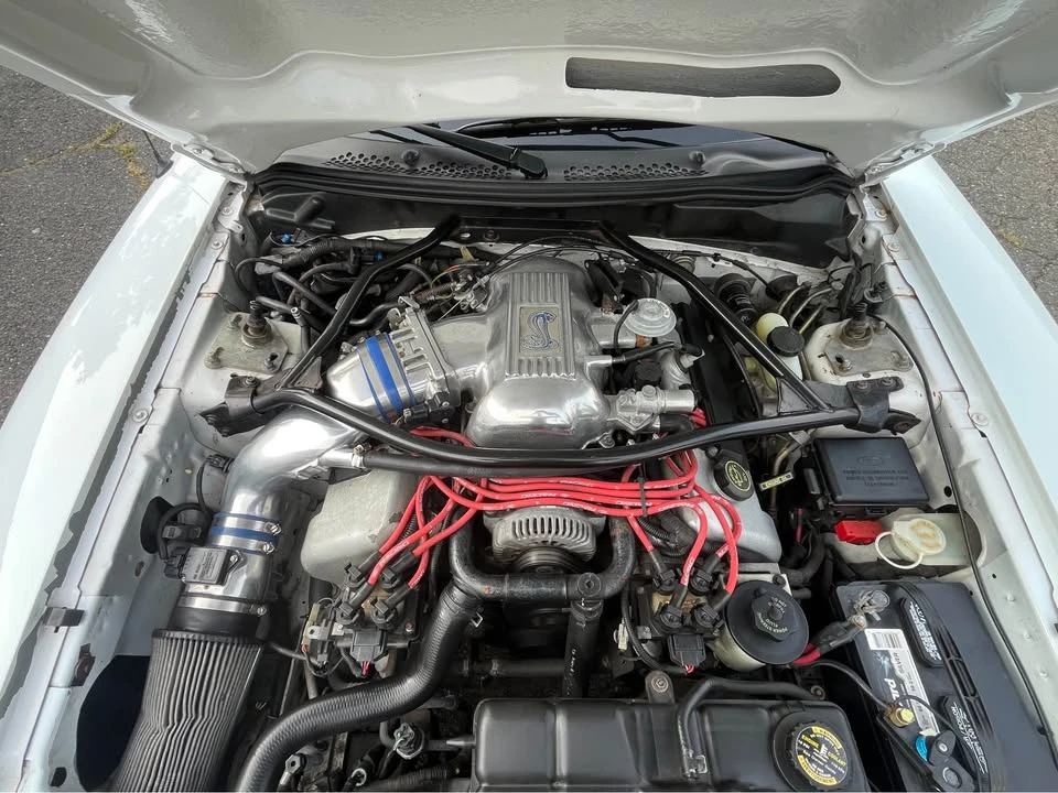 1995 Ford SN95 Mustang Cobra - Image 13 of 16