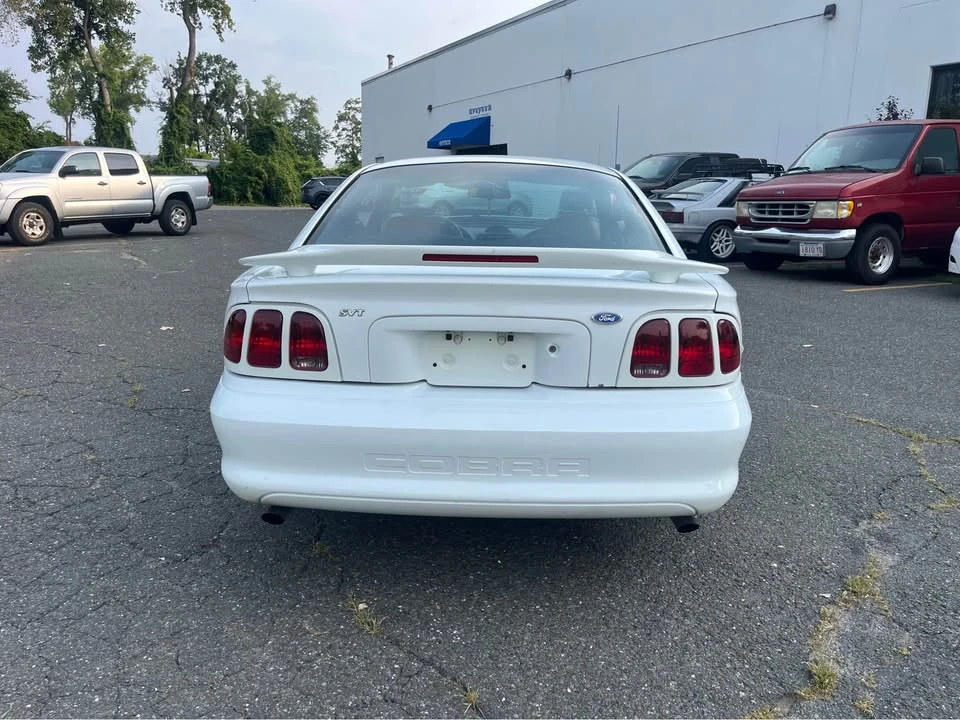 1995 Ford SN95 Mustang Cobra - Image 7 of 16