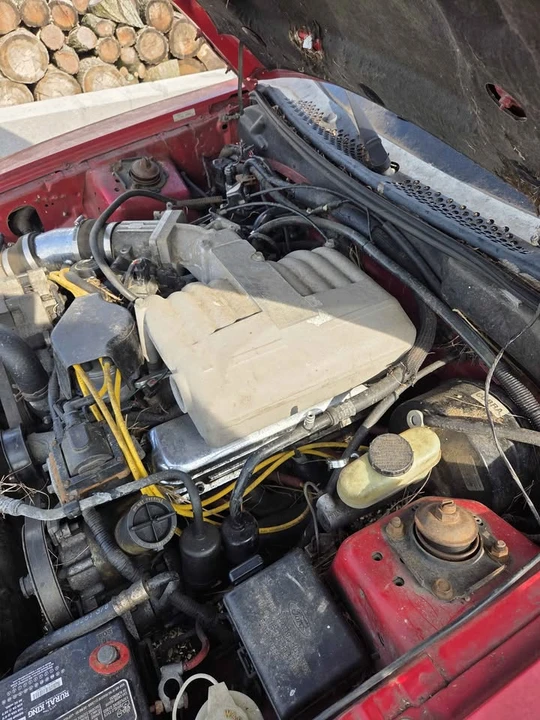 1995 Ford SN95 Mustang Cobra - Image 5 of 5