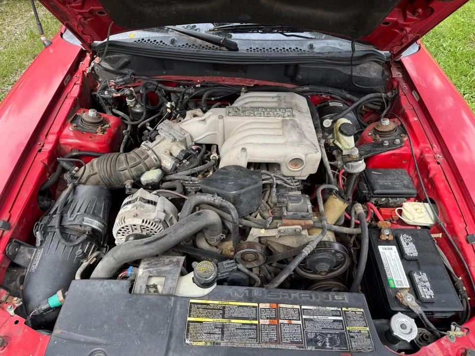 1995 Ford SN95 Mustang Cobra - Image 8 of 9