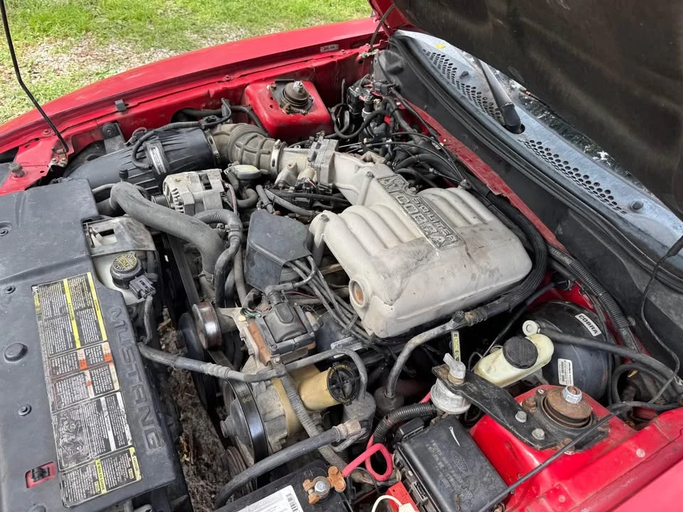 1995 Ford SN95 Mustang Cobra - Image 9 of 9