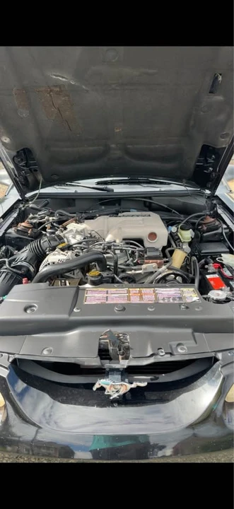 1995 Ford SN95 Mustang Cobra - Image 4 of 14