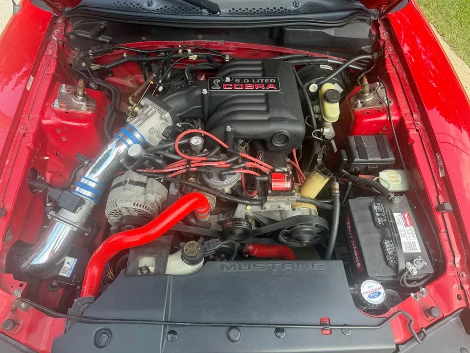 1995 Ford SN95 Mustang Cobra - Image 11 of 13