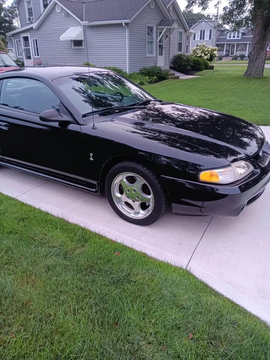 1995 Ford SN95 Mustang Cobra - Image 3 of 4