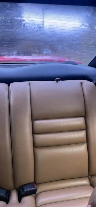 1995 Ford SN95 Mustang Cobra - Image 5 of 7