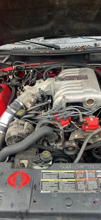 1995 Ford SN95 Mustang Cobra - Image 3 of 7