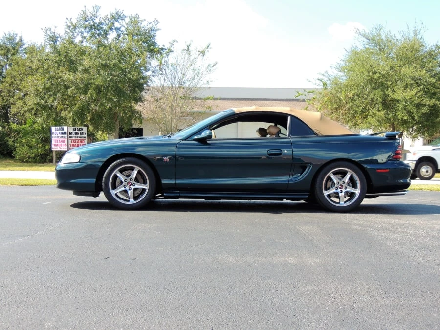 1995 Ford SN95 Mustang - Image 2 of 12