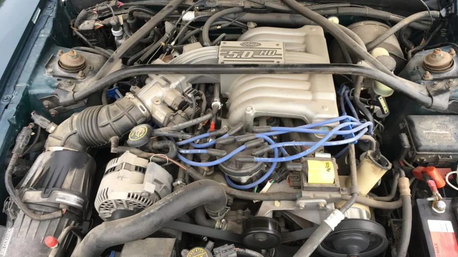 1995 Ford SN95 Mustang - Image 6 of 8