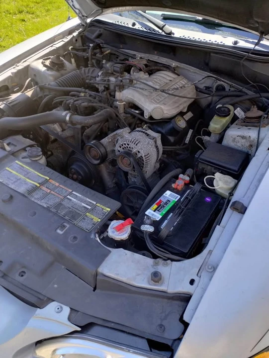 1995 Ford SN95 Mustang - Image 19 of 20