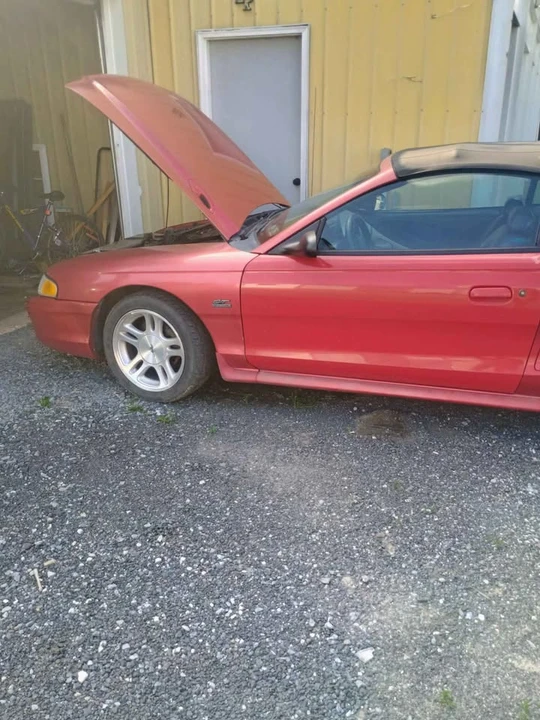 1995 Ford SN95 Mustang - Image 2 of 6