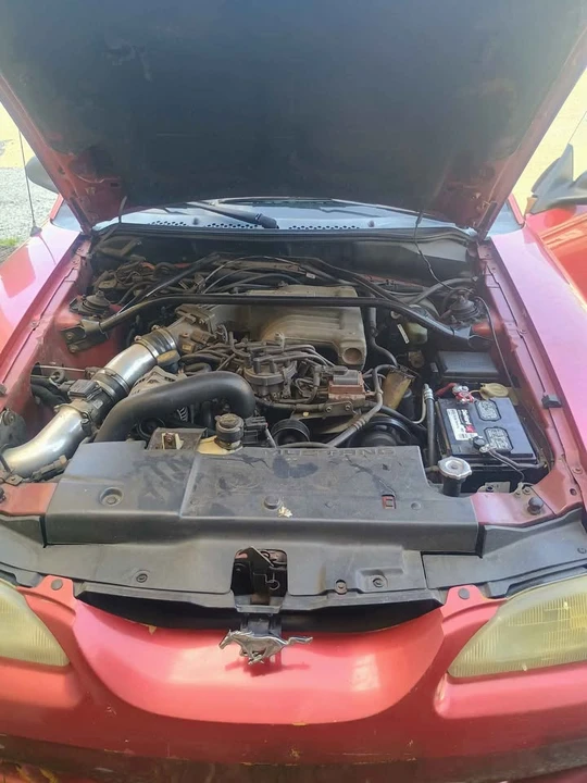 1995 Ford SN95 Mustang - Image 6 of 6