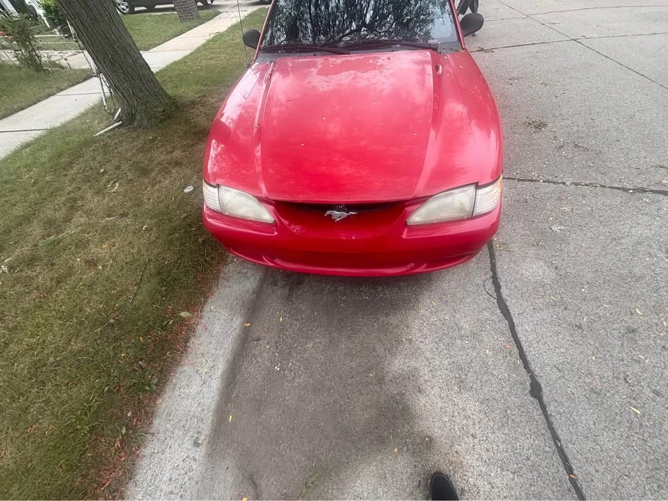 1995 Ford SN95 Mustang - Image 2 of 5