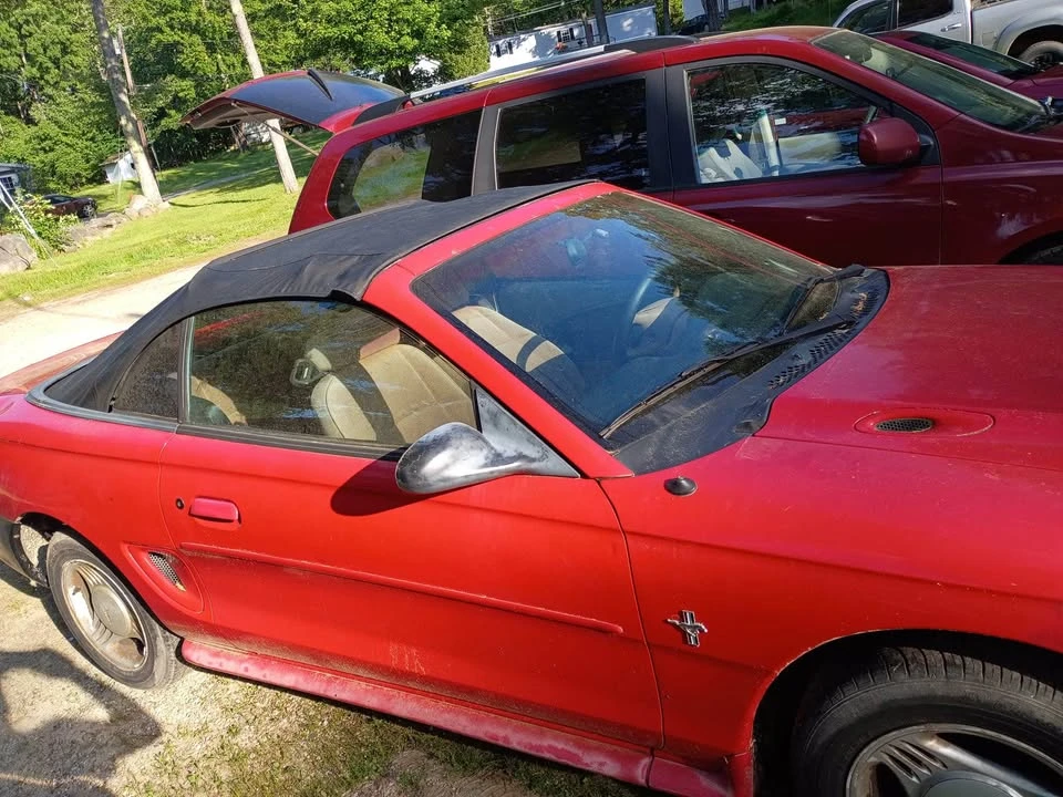 1995 Ford SN95 Mustang - Image 2 of 2
