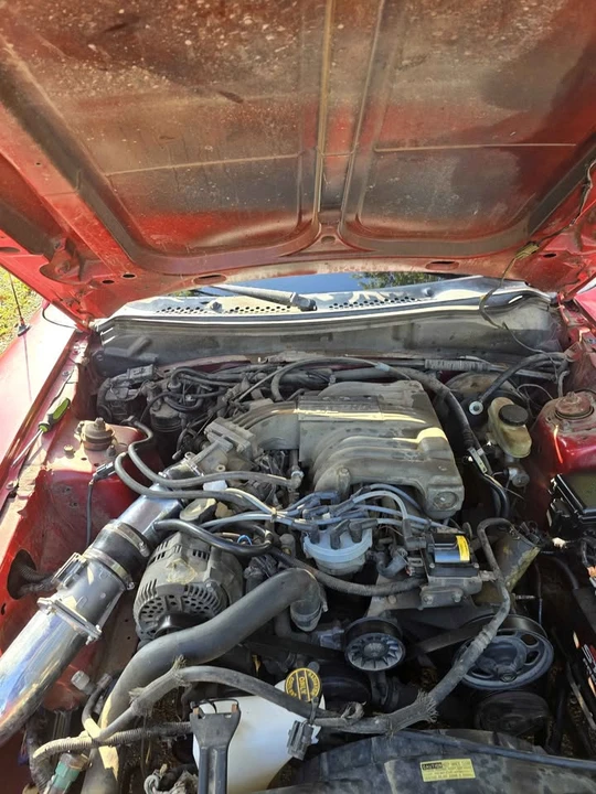 1995 Ford SN95 Mustang - Image 7 of 8
