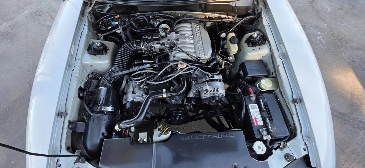 1995 Ford SN95 Mustang - Image 19 of 23