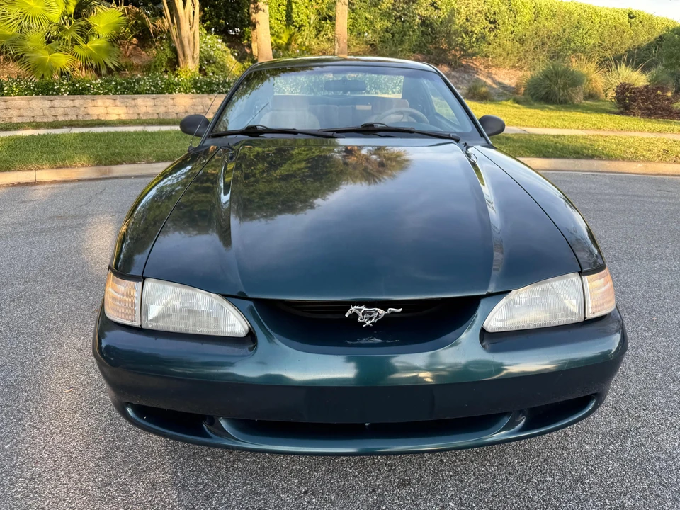 1995 Ford SN95 Mustang - Image 6 of 31