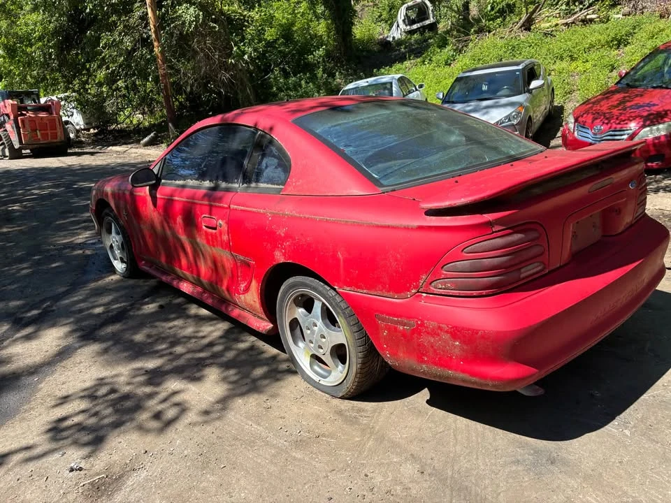 1995 Ford SN95 Mustang - Image 4 of 8