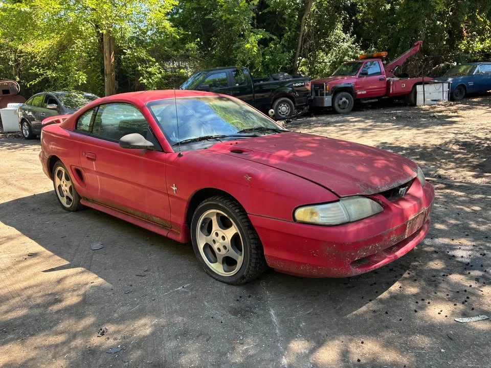 1995 Ford SN95 Mustang - Image 2 of 8