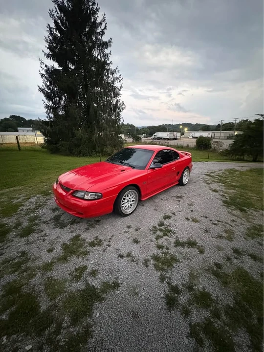 1995 Ford SN95 Mustang - Image 5 of 6