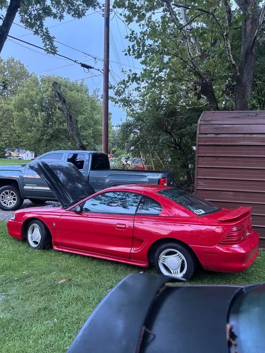 1995 Ford SN95 Mustang - Image 4 of 9