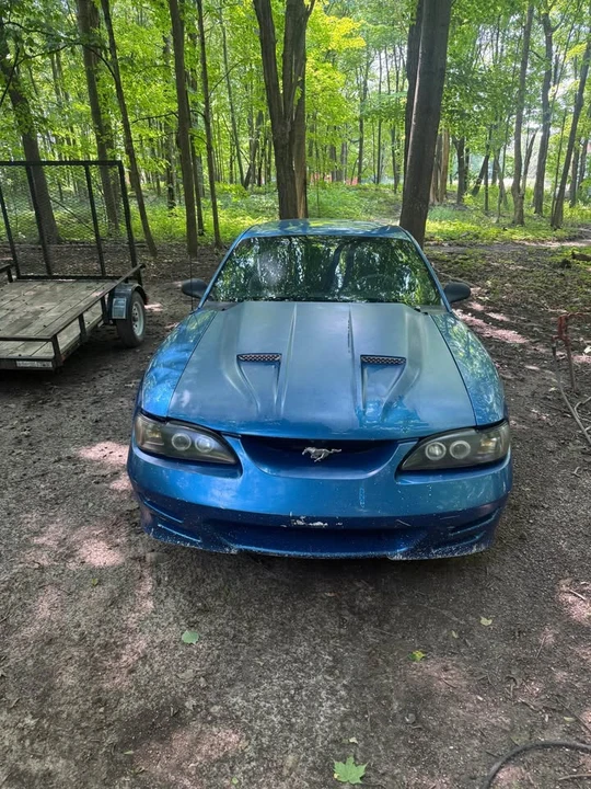 1995 Ford SN95 Mustang - Image 4 of 10