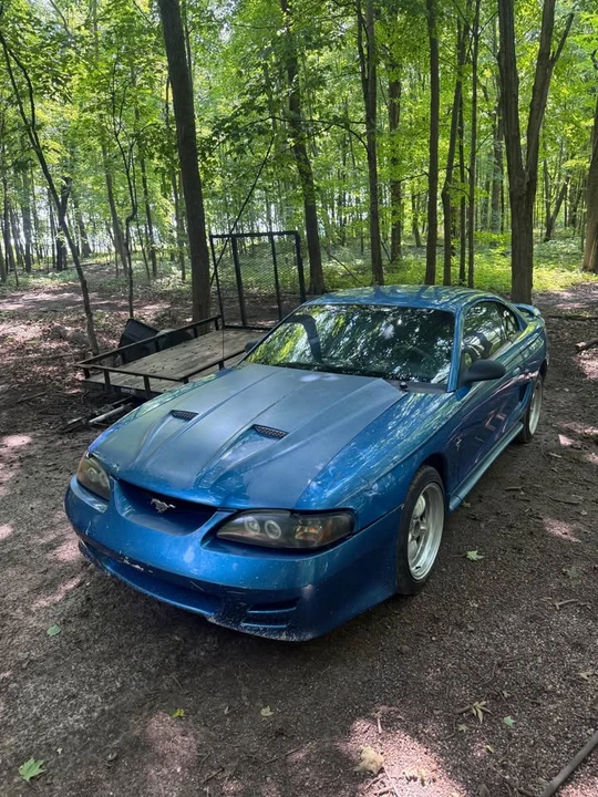 1995 Ford SN95 Mustang - Image 3 of 10