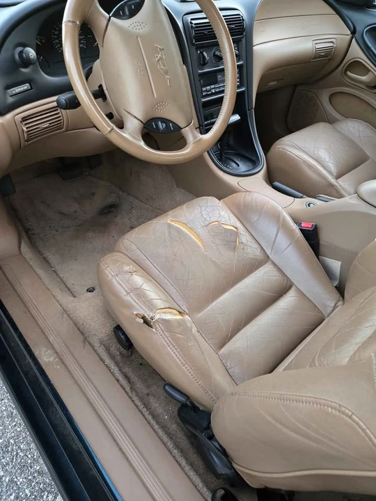 1995 Ford SN95 Mustang - Image 10 of 11