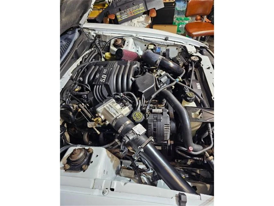 1995 Ford SN95 Mustang - Image 6 of 25