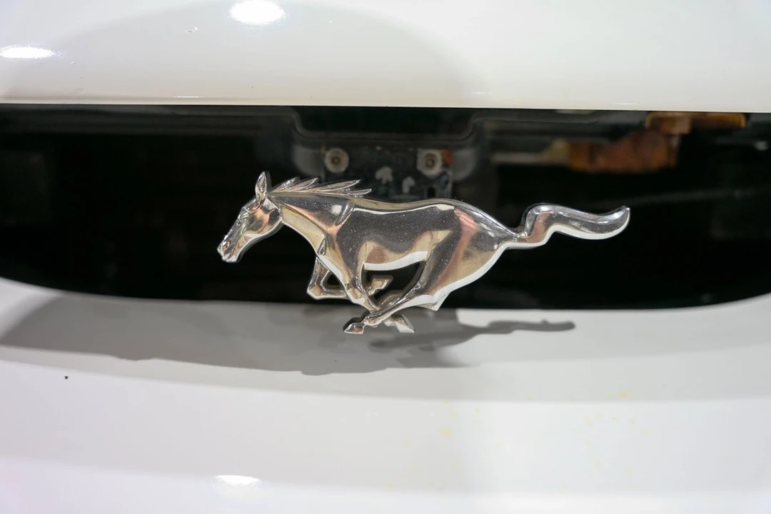 1995 Ford SN95 Mustang - Image 21 of 21