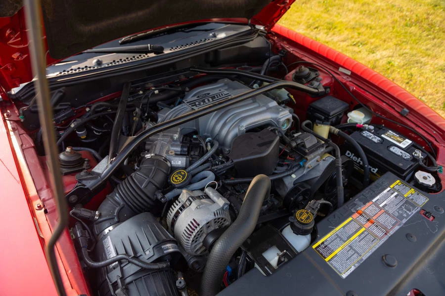 1995 Ford SN95 Mustang - Image 15 of 16